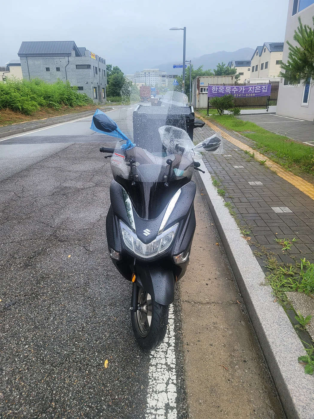 양주 버그만 [출고00105]