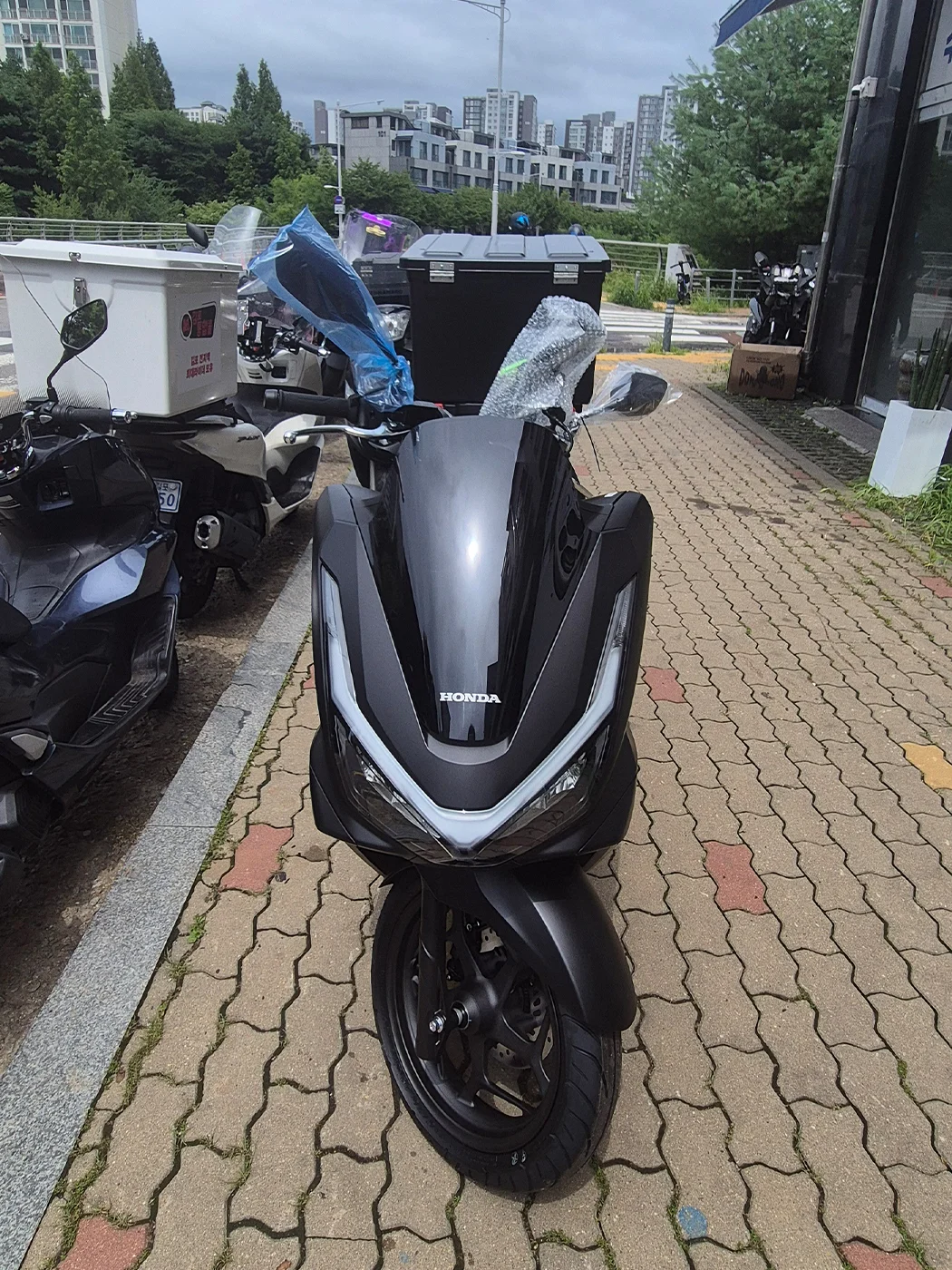 김포 PCX [출고00126]
