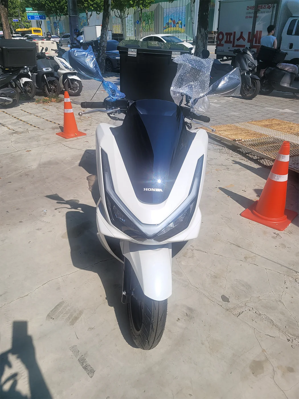 강남 PCX [출고00159]