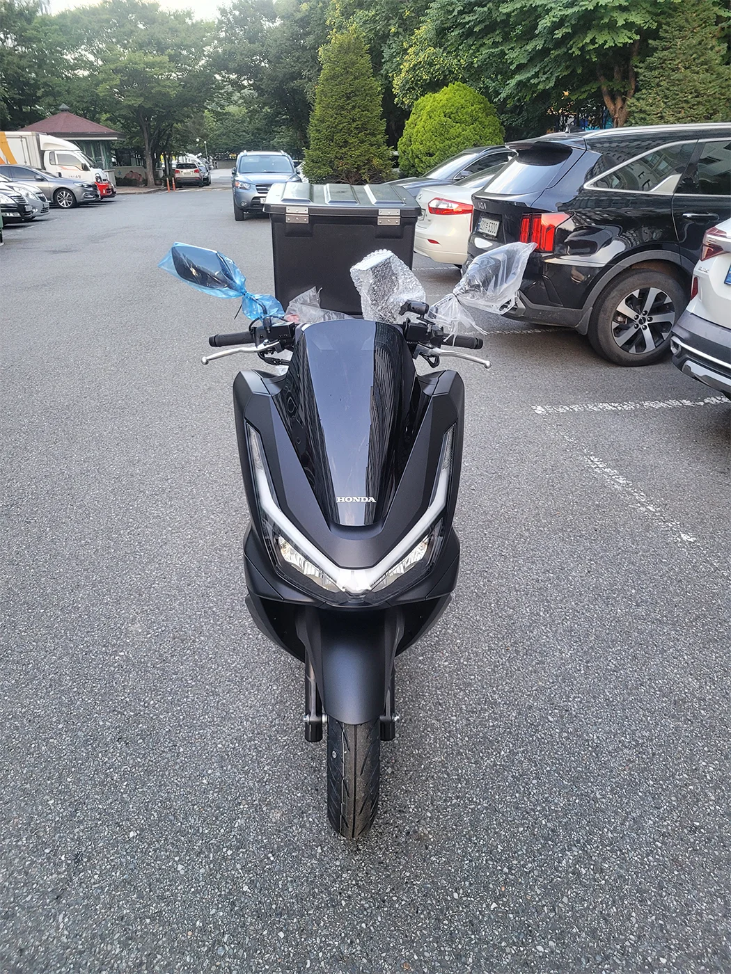 대구 PCX [출고00182]