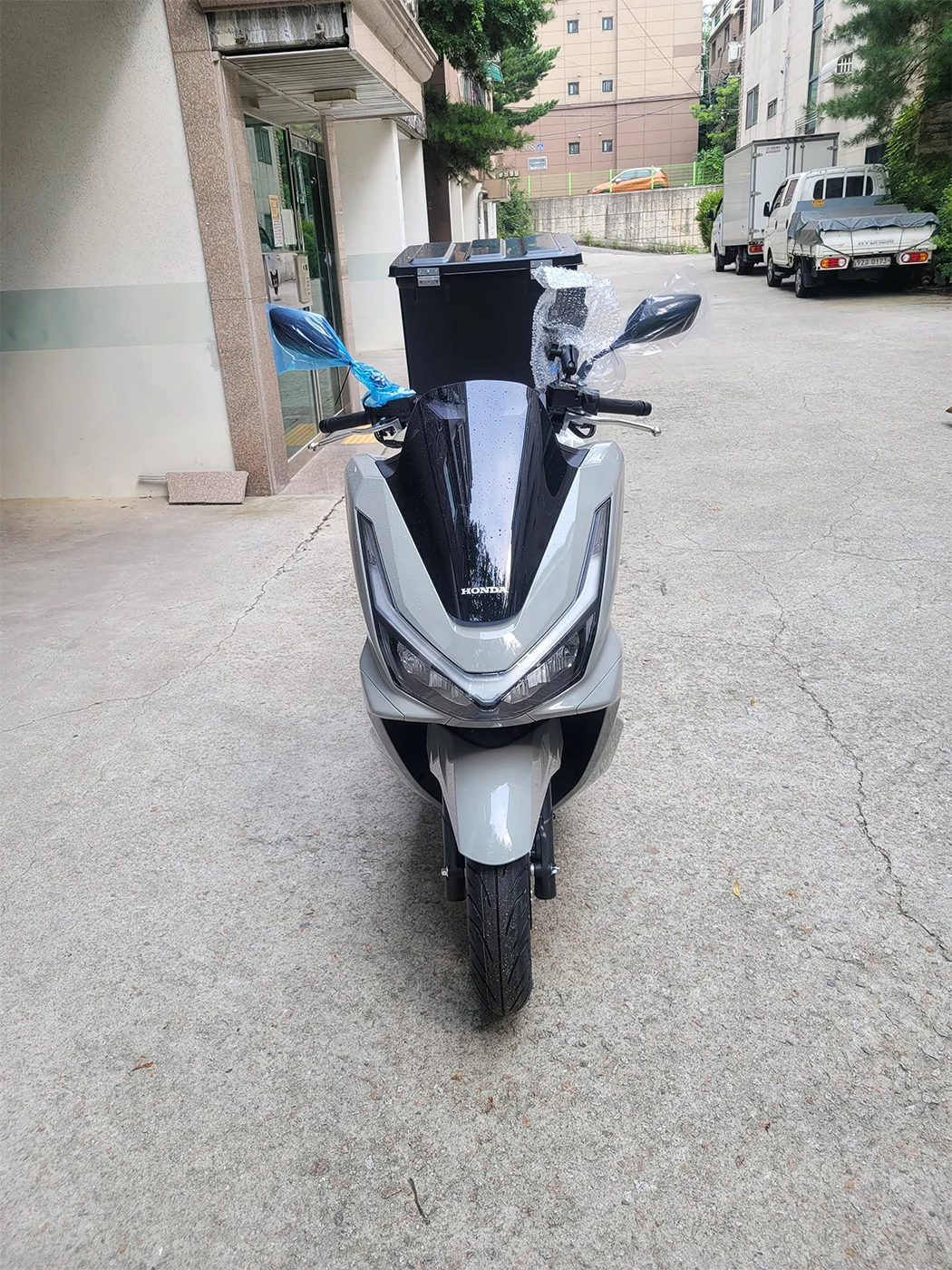 고양 PCX [출고00191]