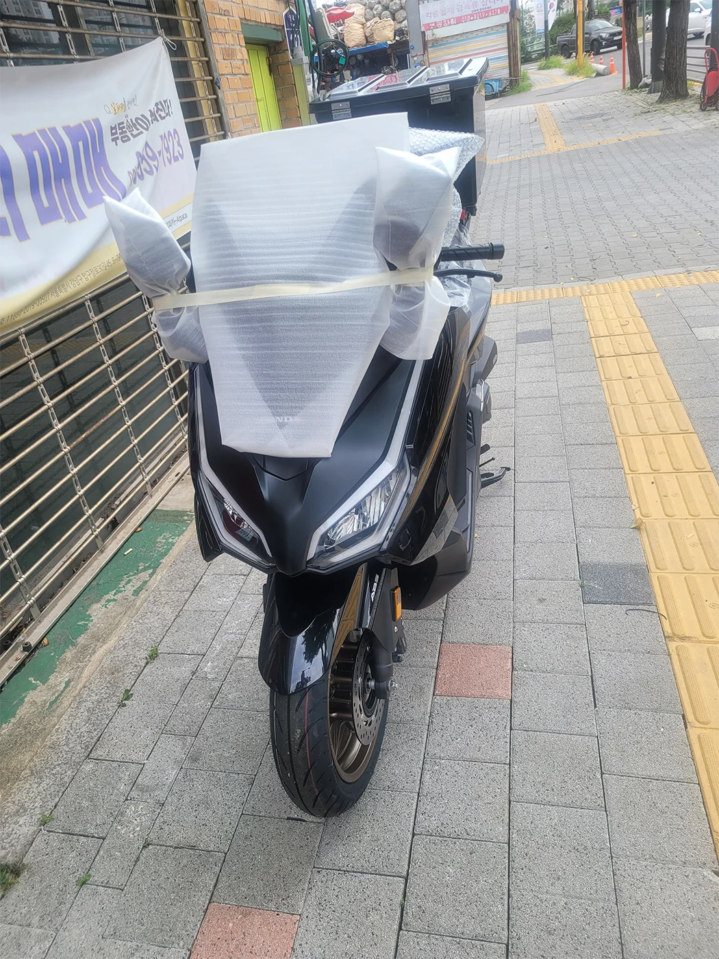 중랑 포르자 [출고00243]