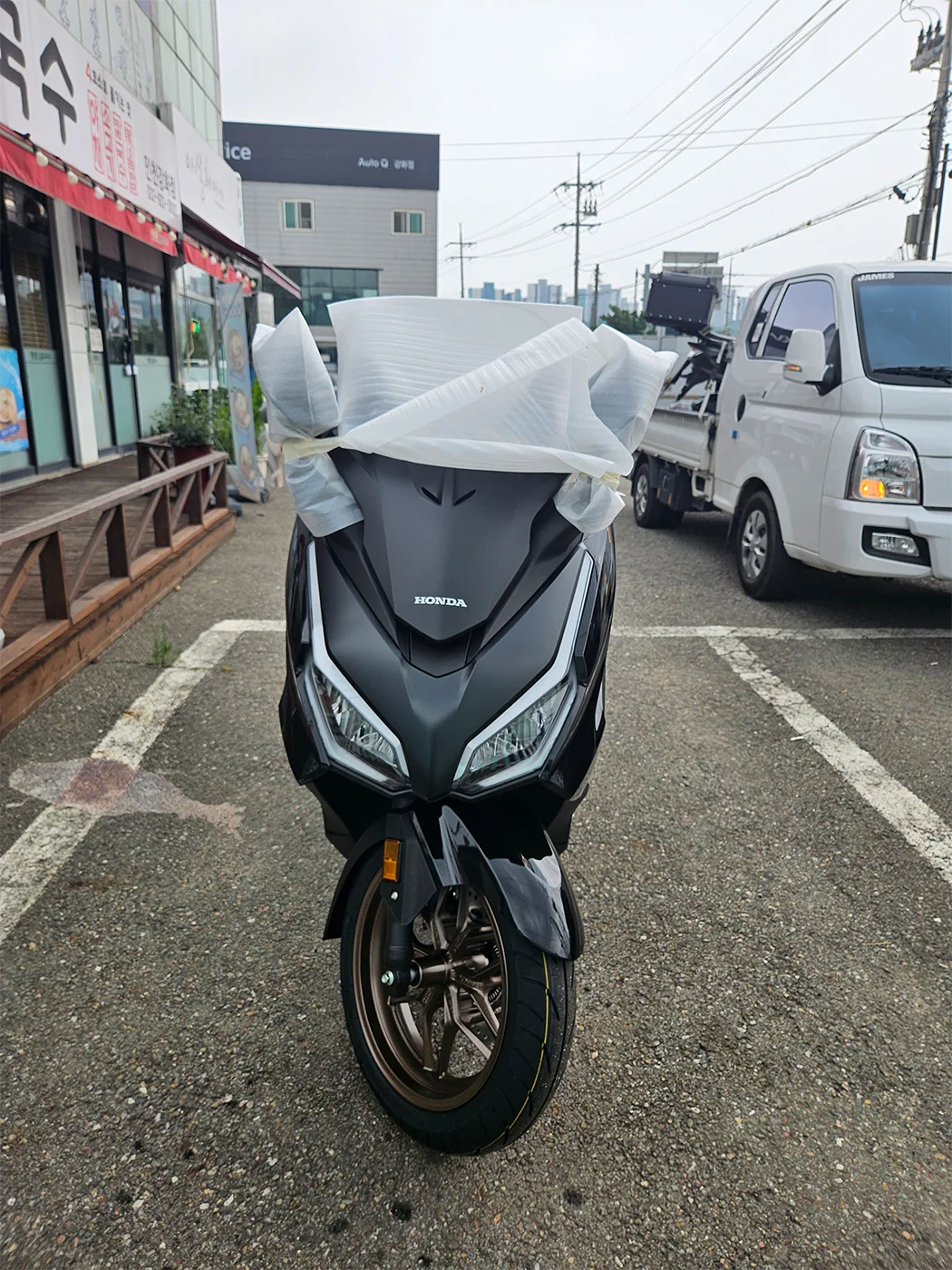 강화 포르자 [출고00247]