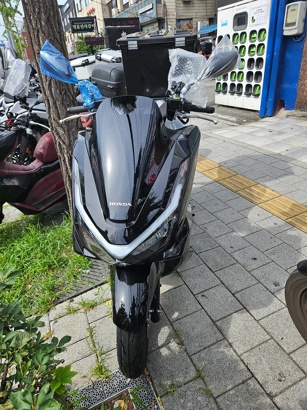 강북 PCX [출고00308]
