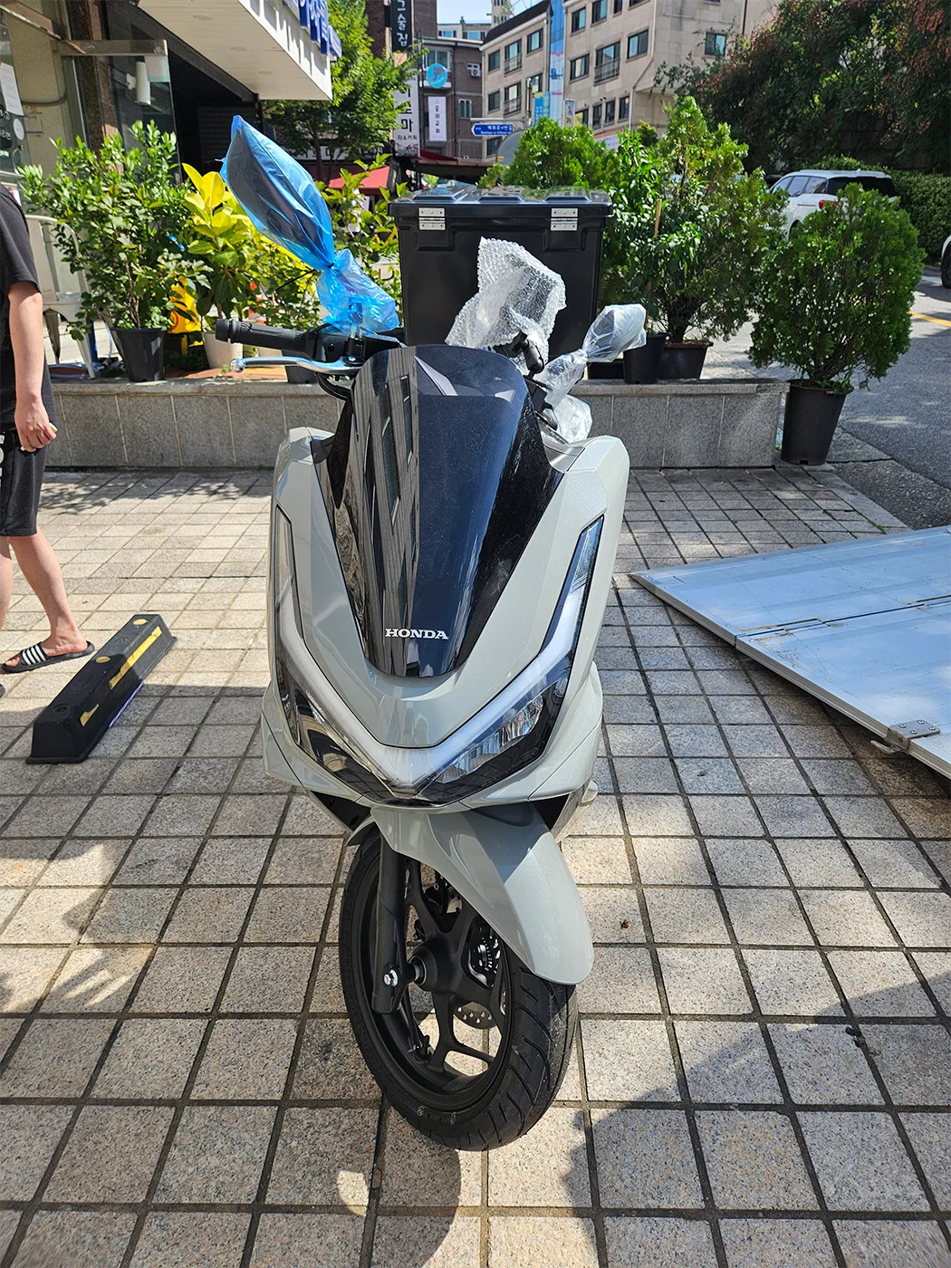 성남 PCX [출고00340]