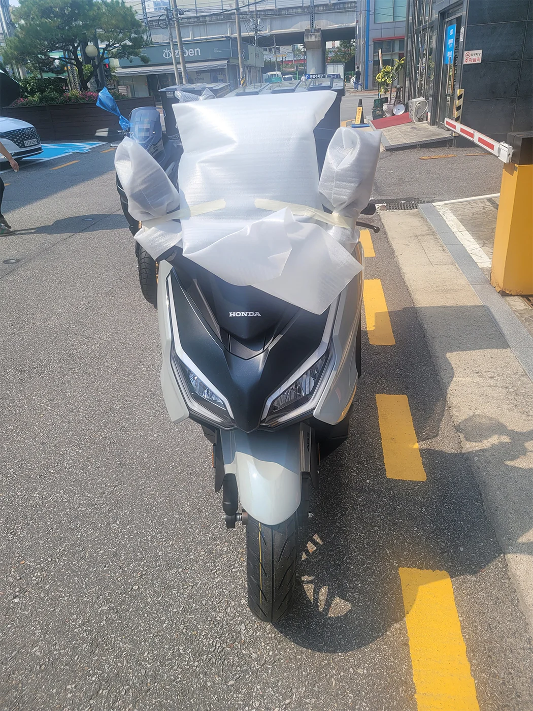 파주 포르자 [출고00358]