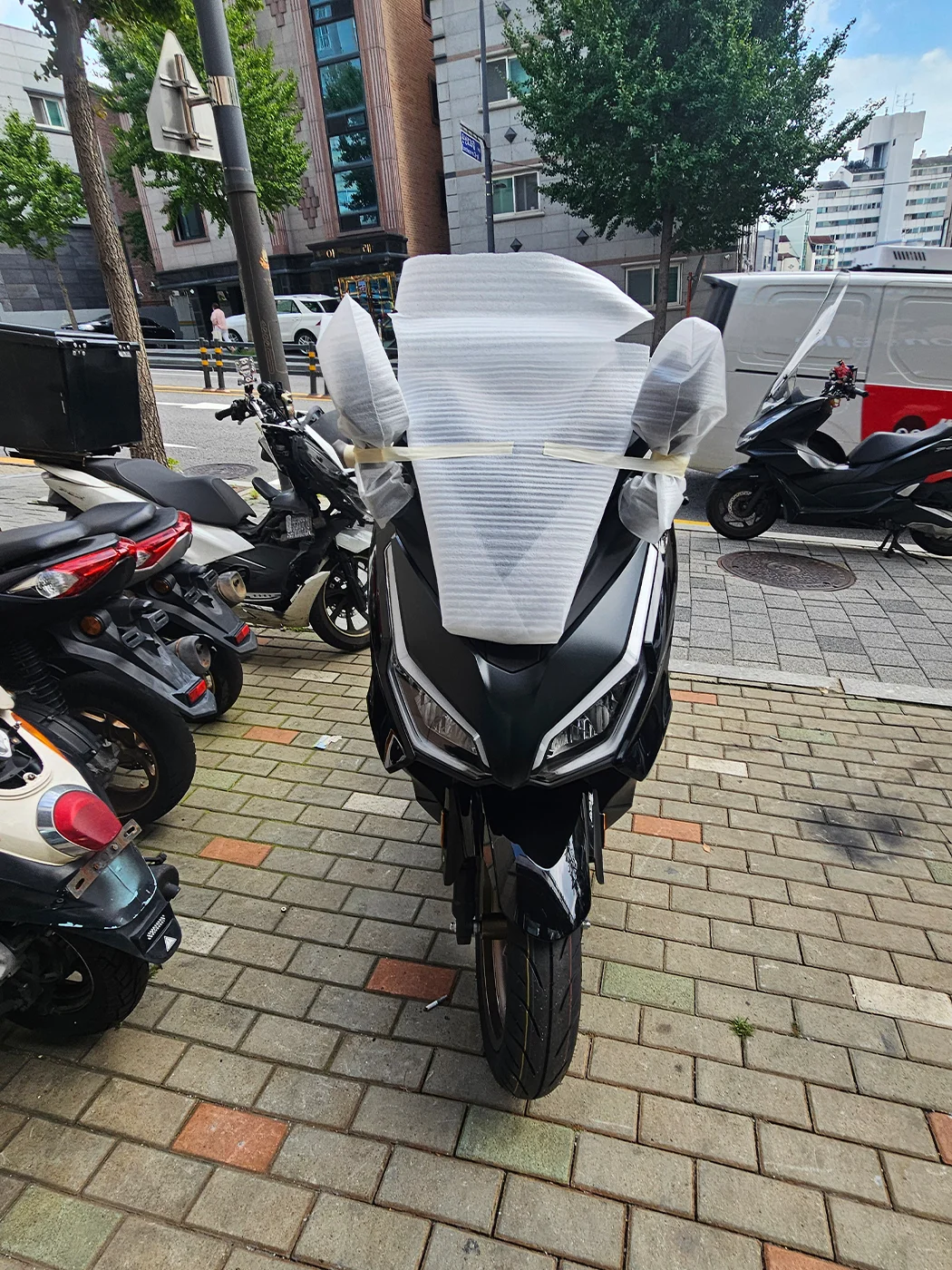 관악 포르자 [출고00397]