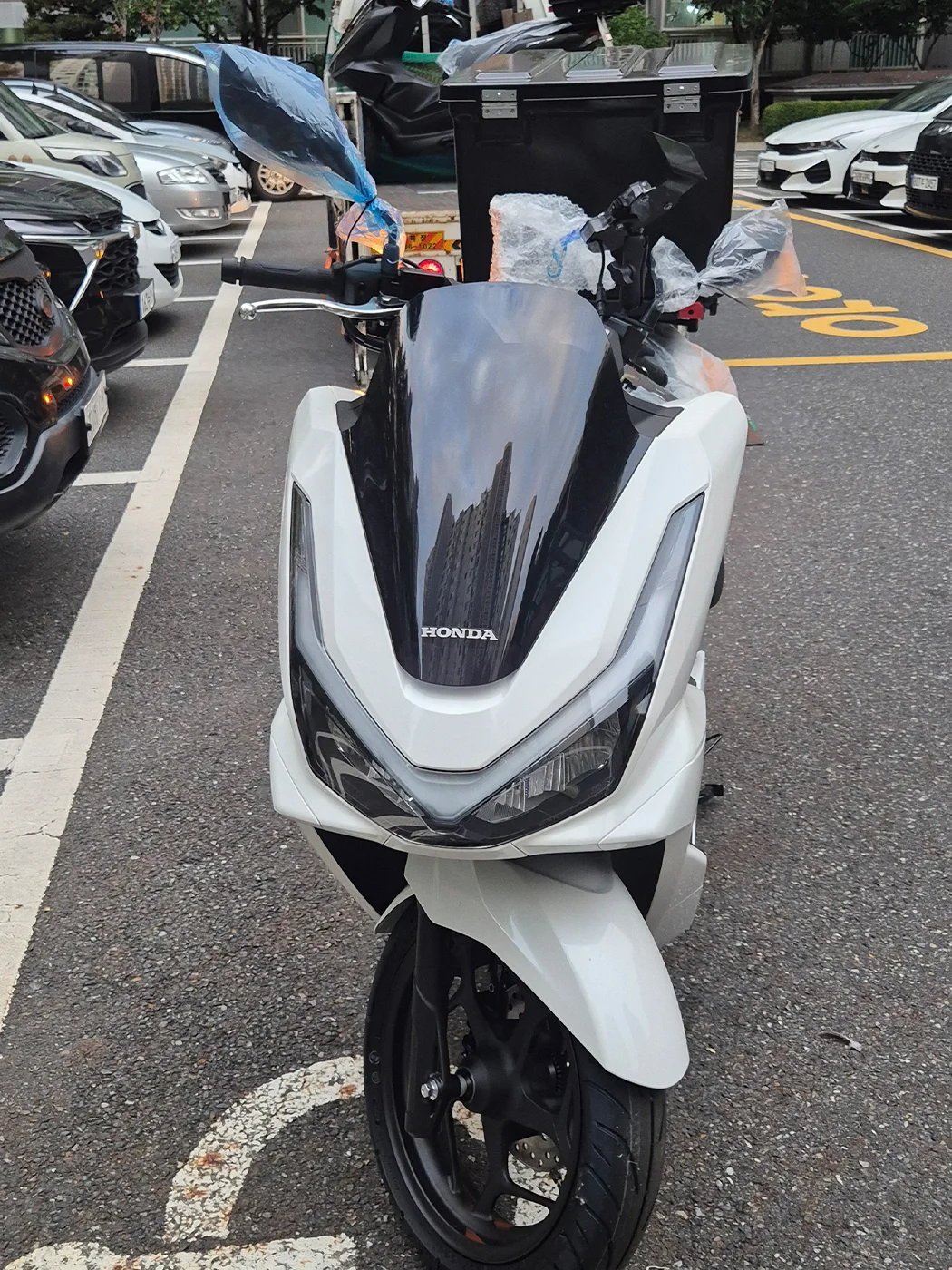 대전 PCX [출고00443]