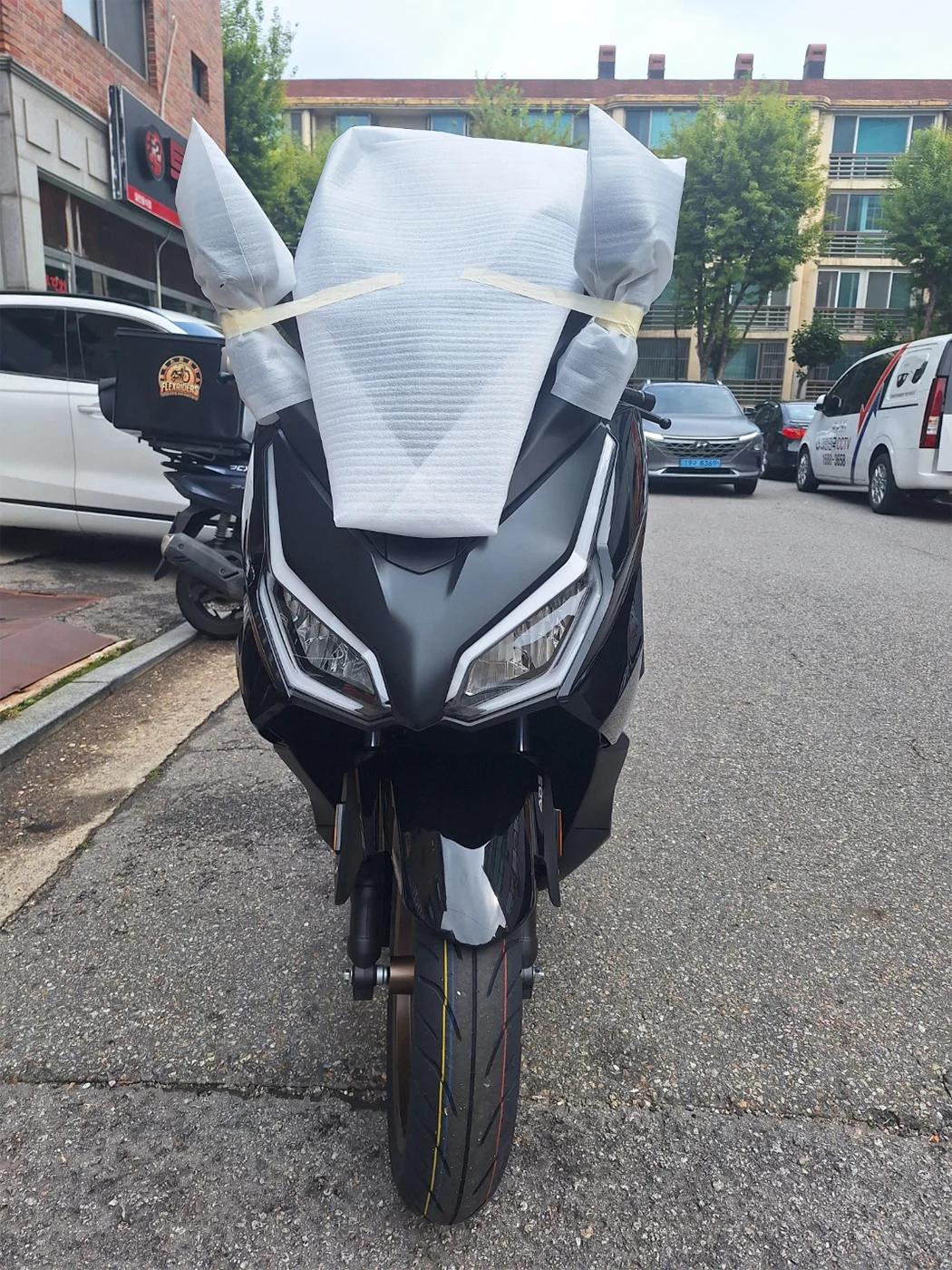 일산 포르자 [출고00519]