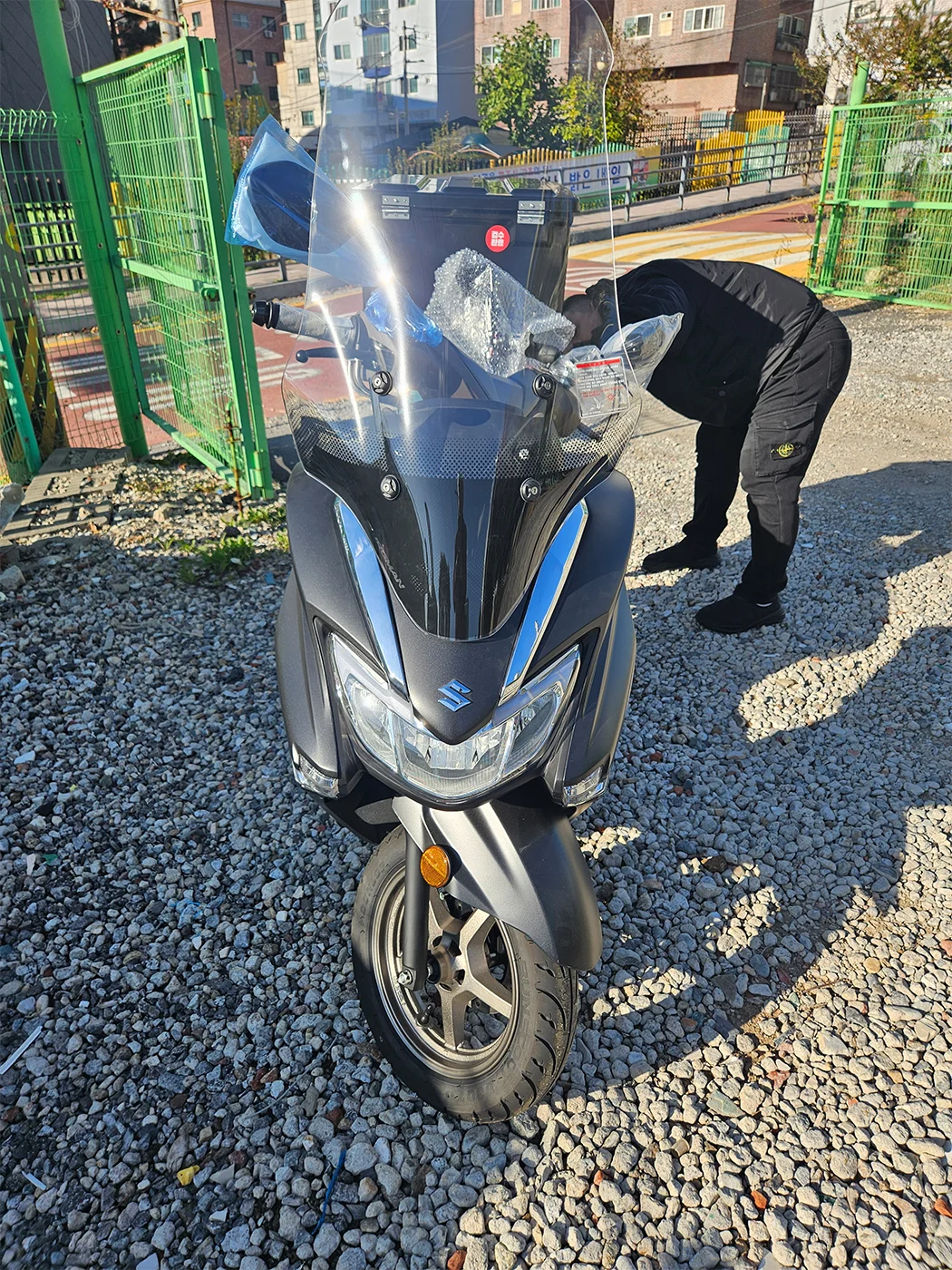 수원 버그만 [출고00635]