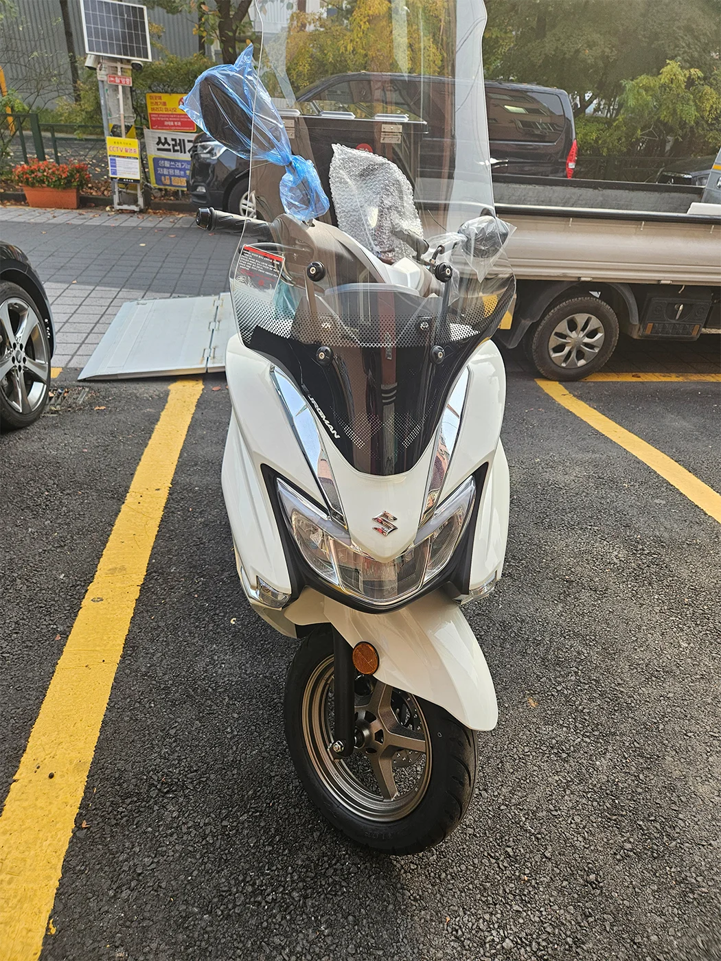 파주 버그만 [출고00652]