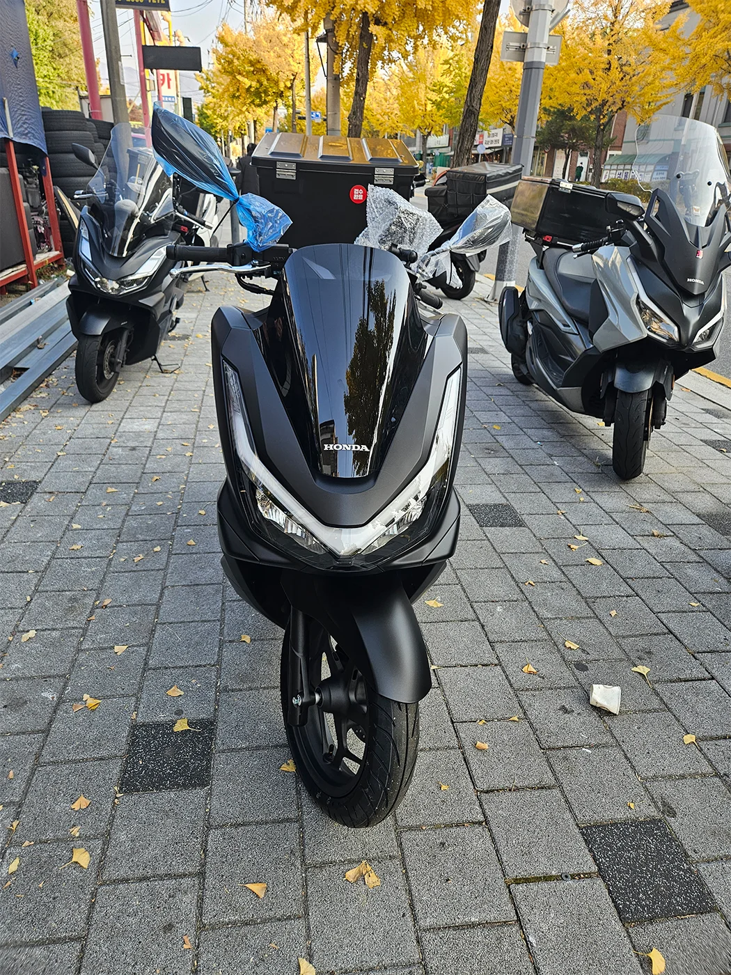 춘천 PCX [출고00684]