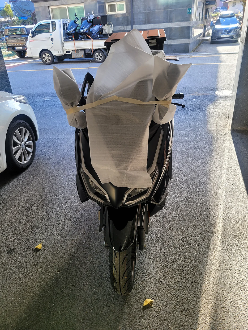 용인 포르자 [출고00723]