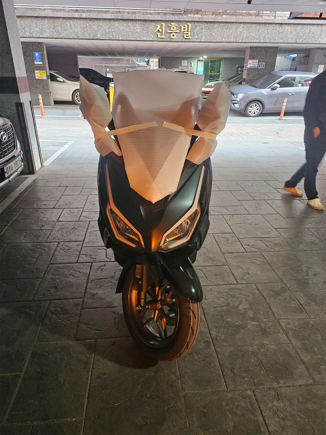 성남 포르자 [출고00737]