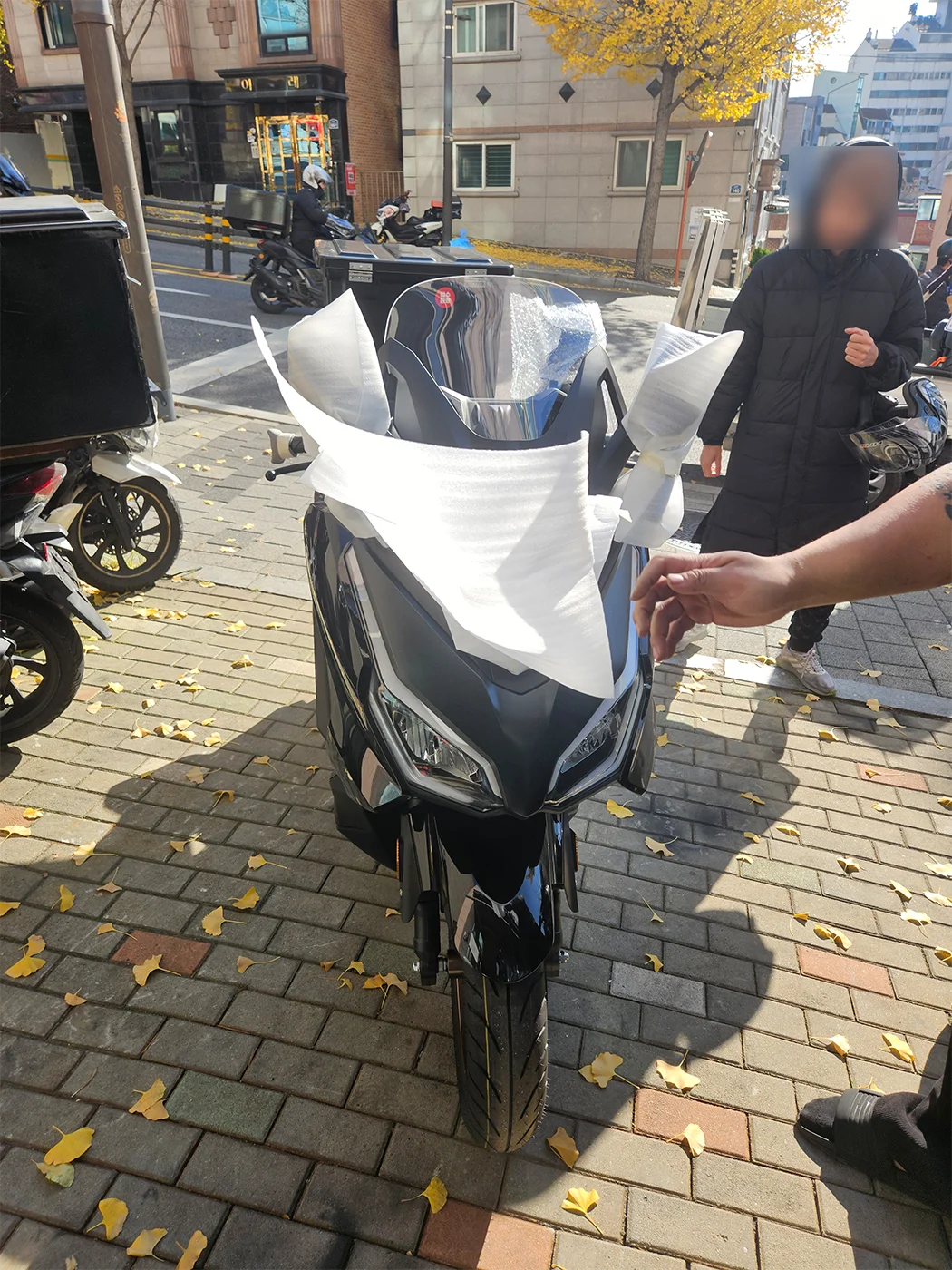 관악 포르자 [출고00740]