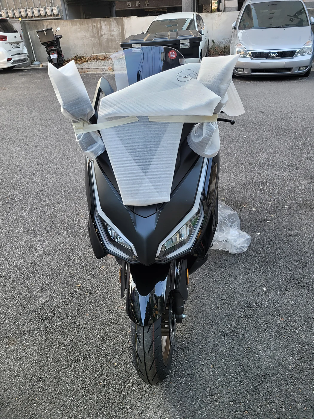 중랑 포르자 [출고00768]