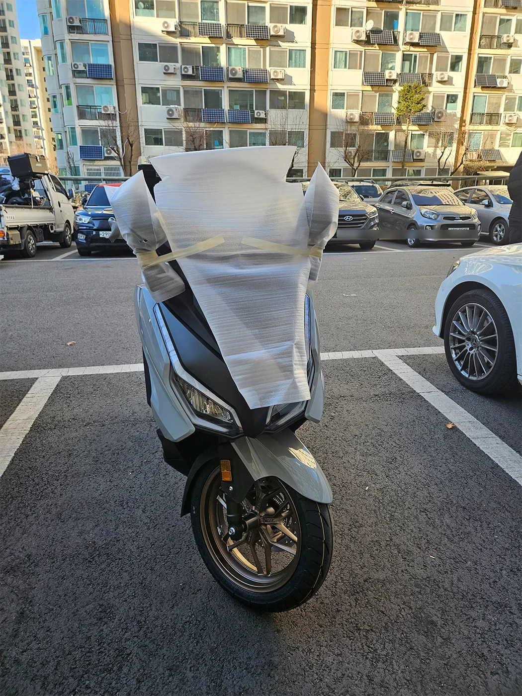 노원 포르자 [출고00776]