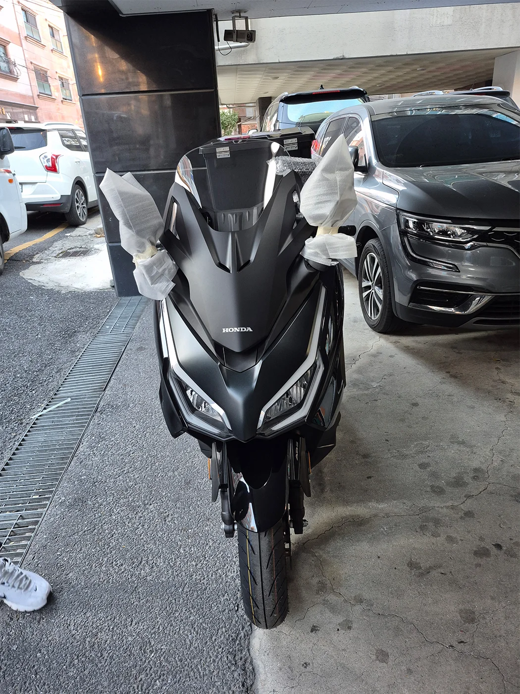 대전 포르자 [출고00799]