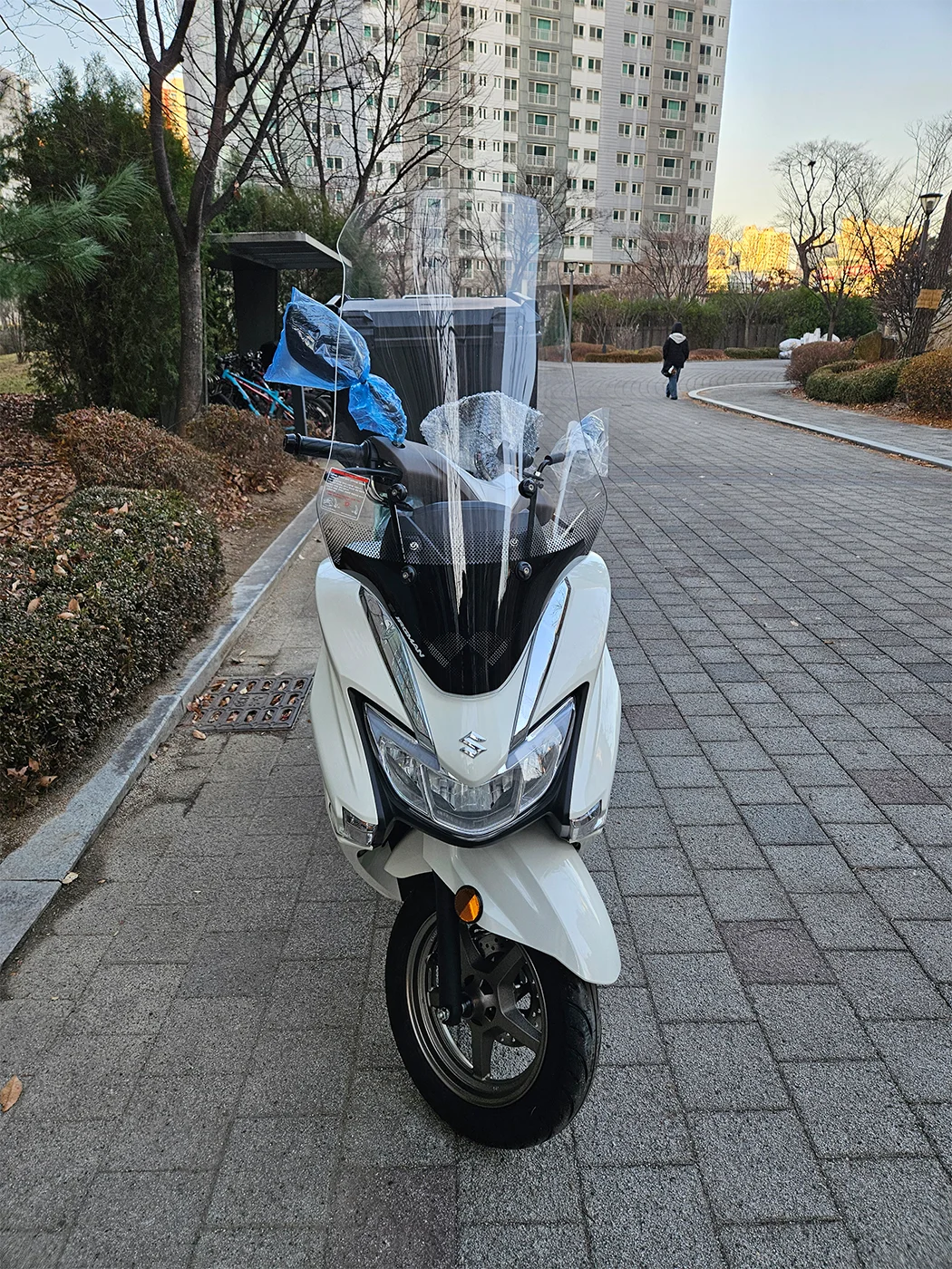 화성 버그만 [출고00804]