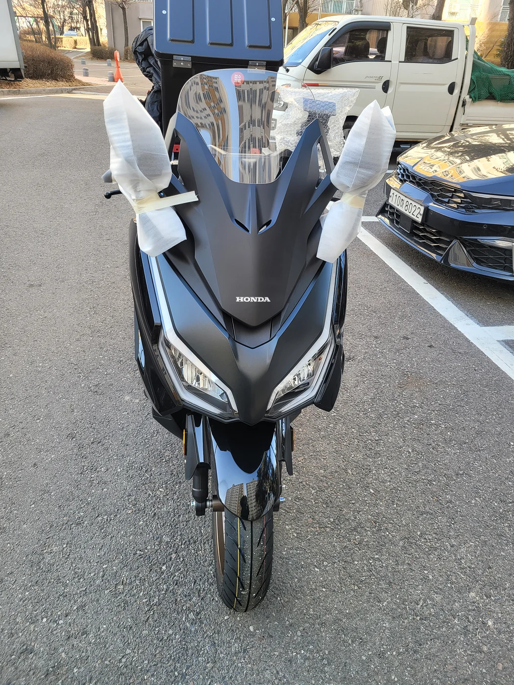 계양 포르자 [출고00813]