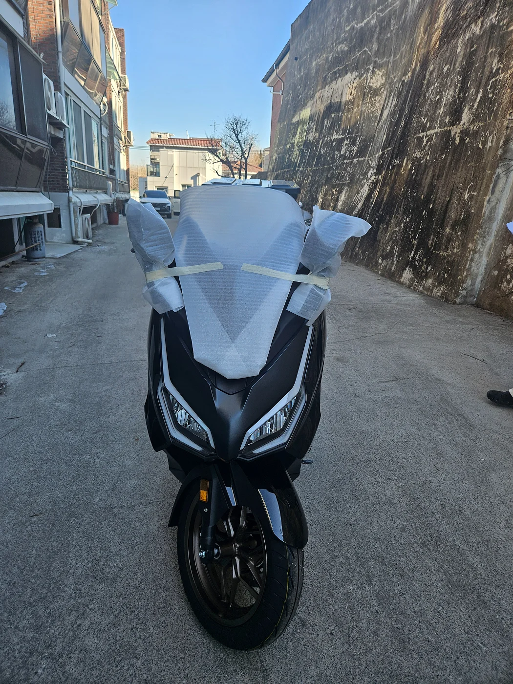 성북 포르자 [출고00866]