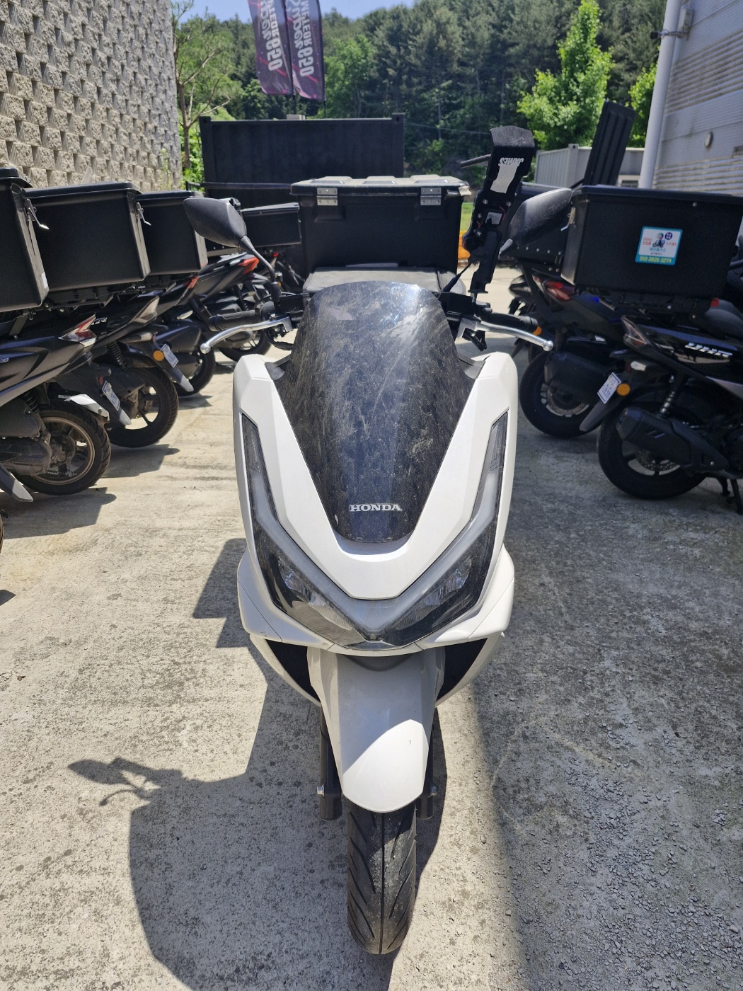 [00011]PCX  승계완료