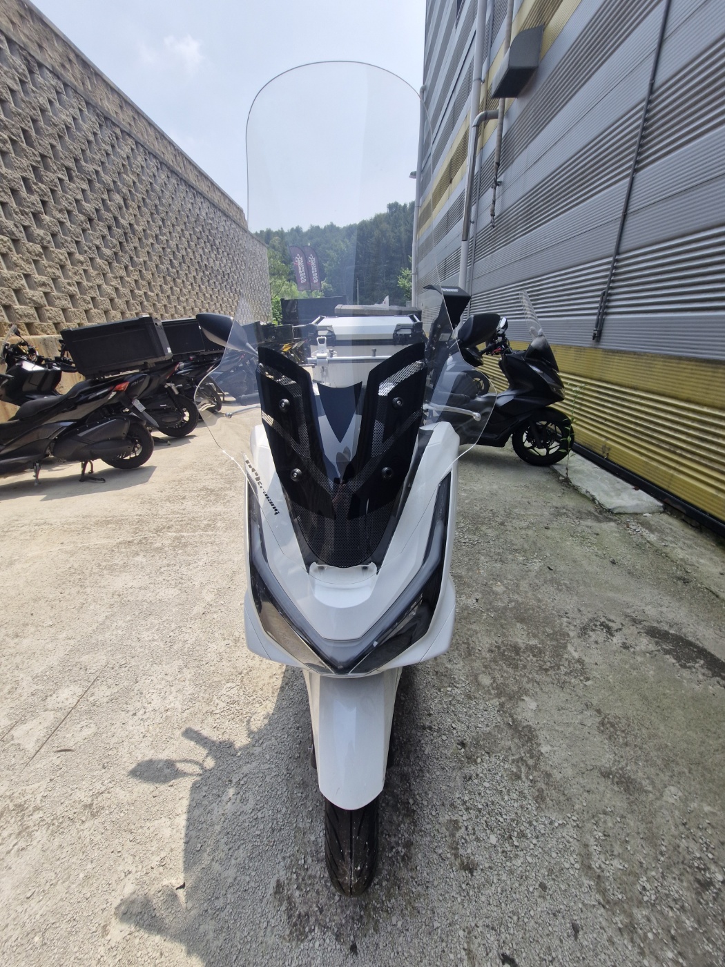 [00013]PCX 승계완료