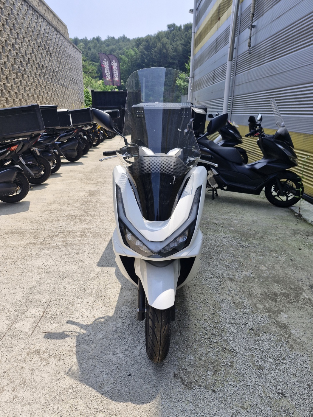 [00019]PCX