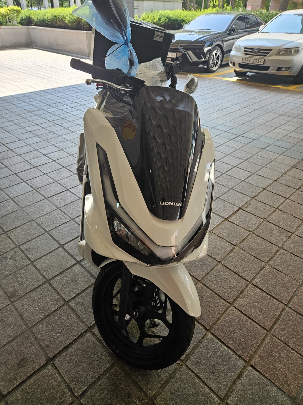 청주 PCX [출고00023]